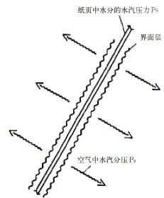 高速紙機旋轉接頭